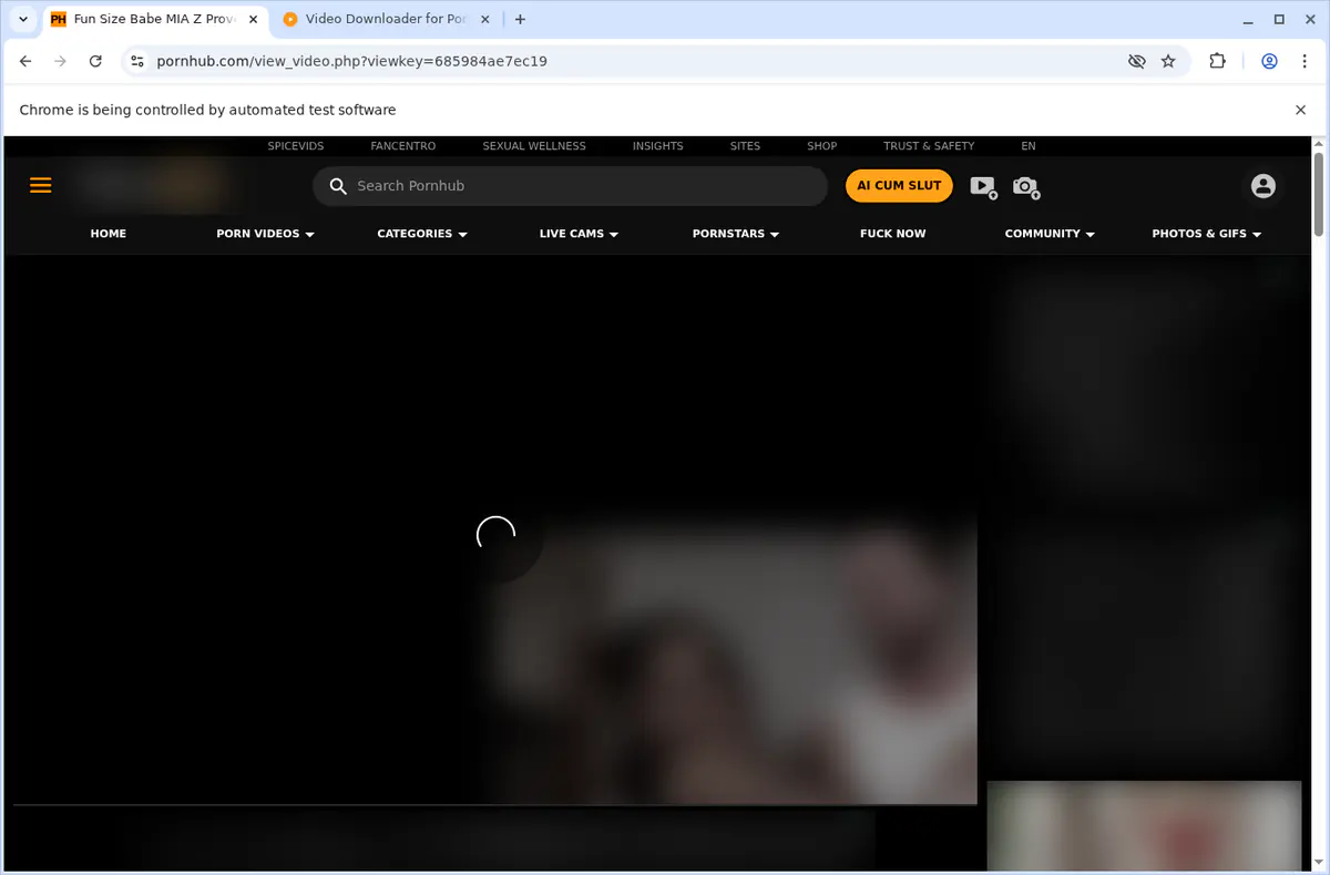 Pornhub Video Downloader Setup and Troubleshooting